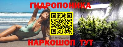 jwh Берёзовский